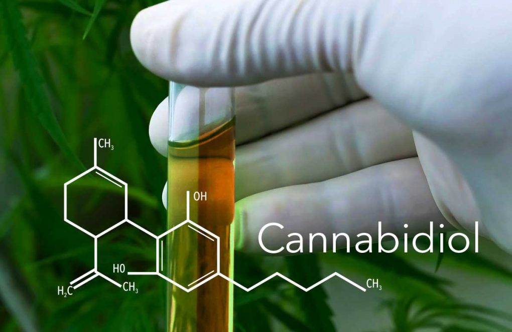 ¿Conoces los beneficios del Cannabidiol? Pues sigue leyendo y los descubrirás