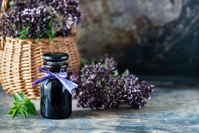 aceite.oregano.beneficios.Sanate.info